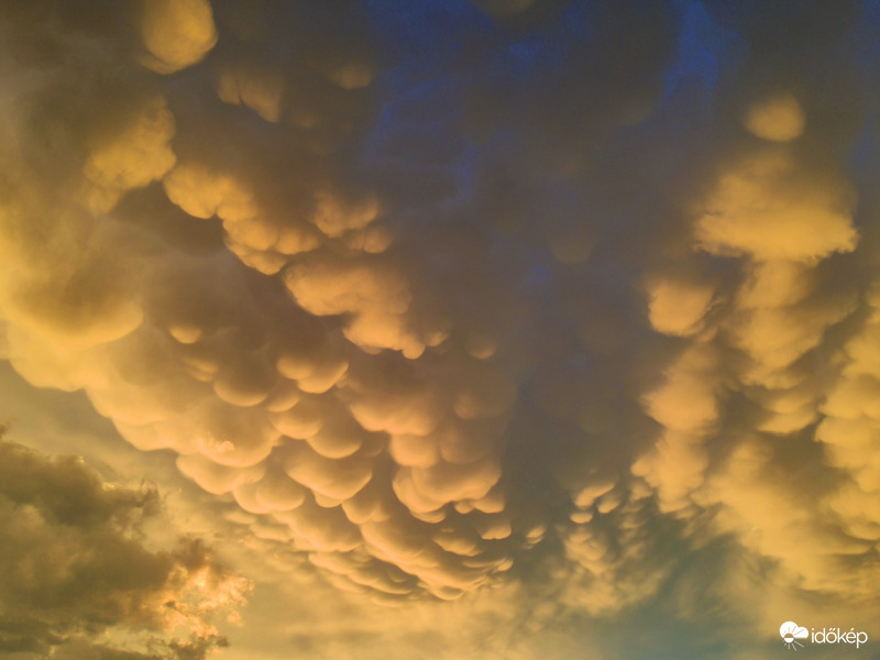 Mammatus Bp.XVIII.