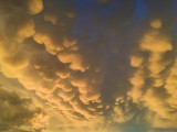 Mammatus Bp.XVIII.