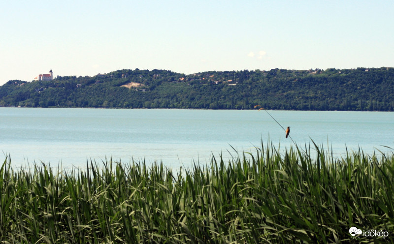 Balatonfüred