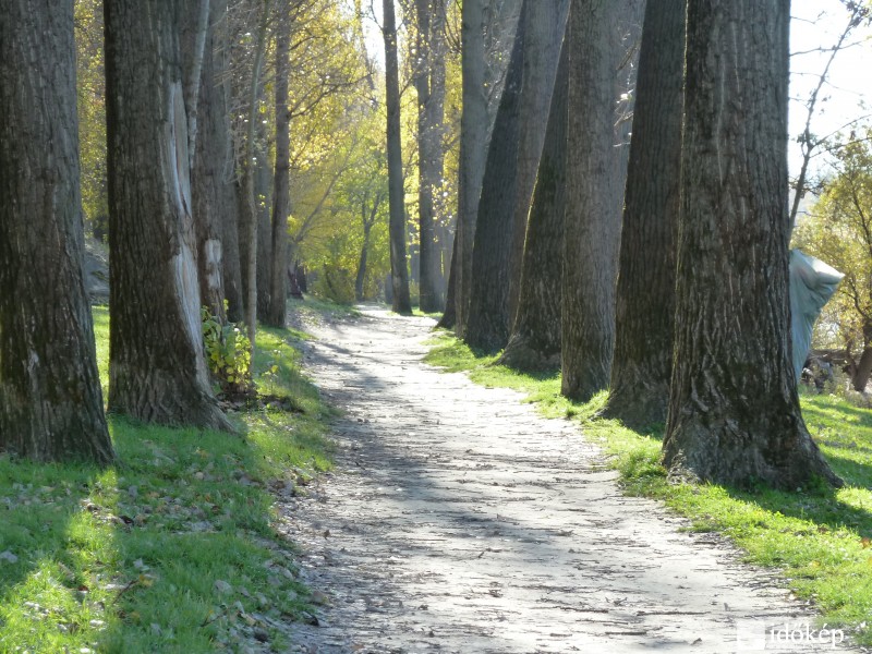 tavaszias őszi út