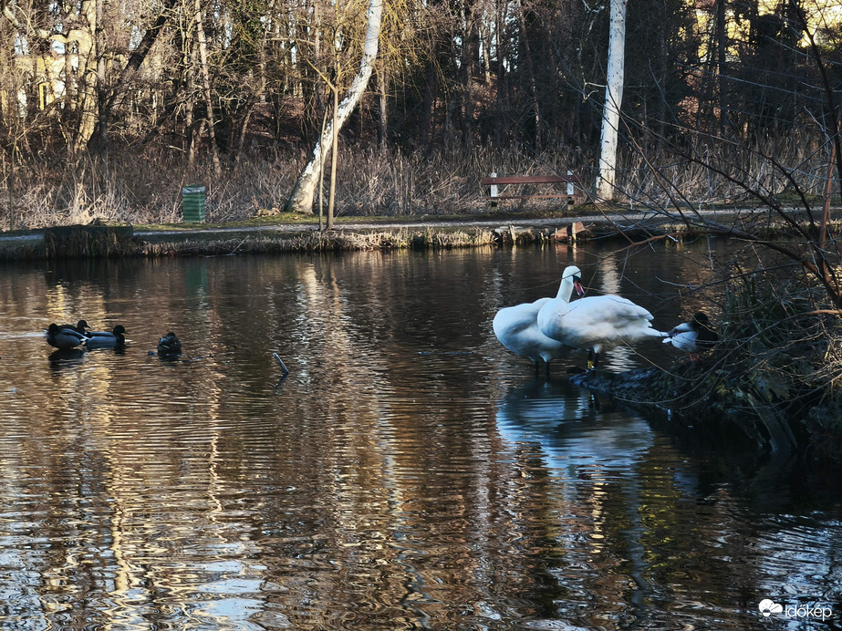 Vác