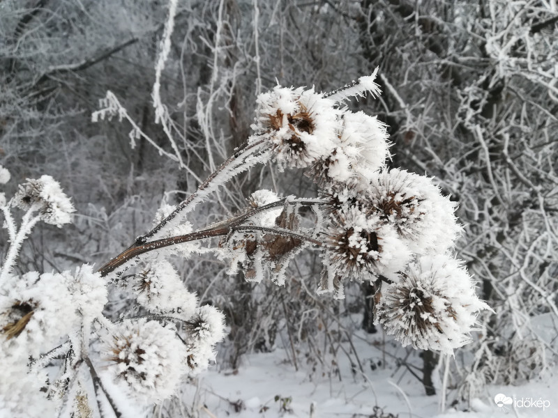 2019.01.12 Tokaj Nagy Kopasz hegy 11-12 cm hó