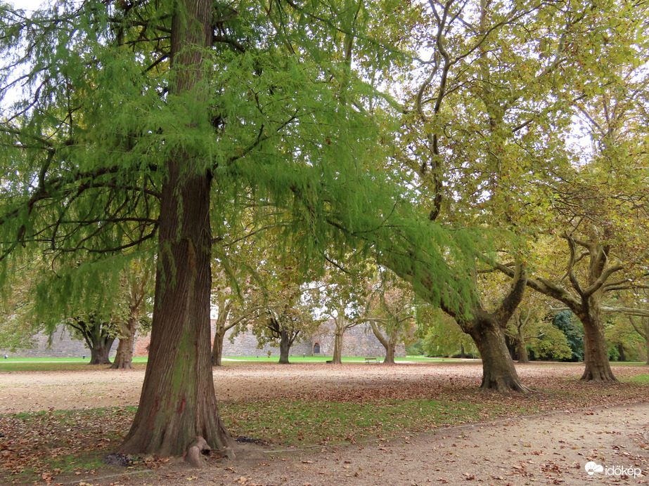 Ősz a parkban