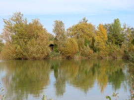 Sziget a tóban