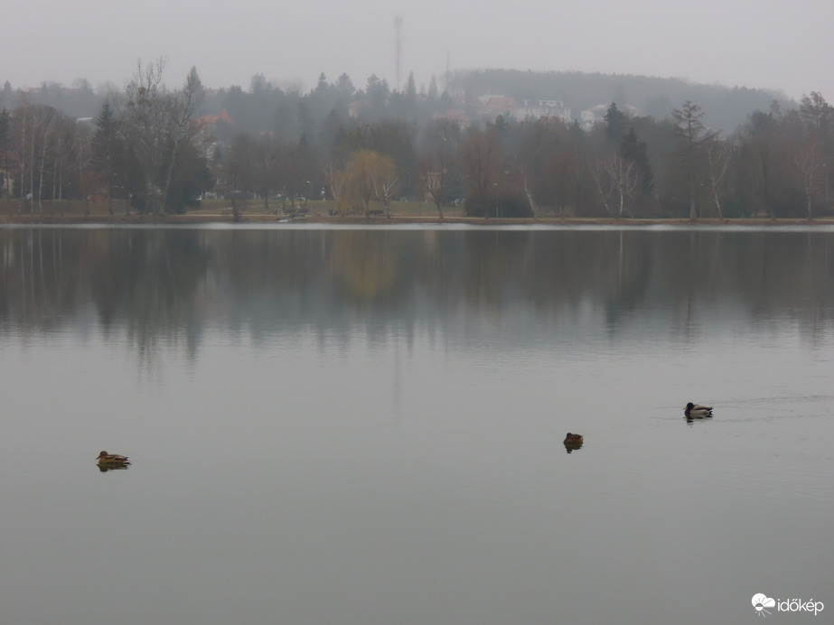 Borongós, nyirkos délután