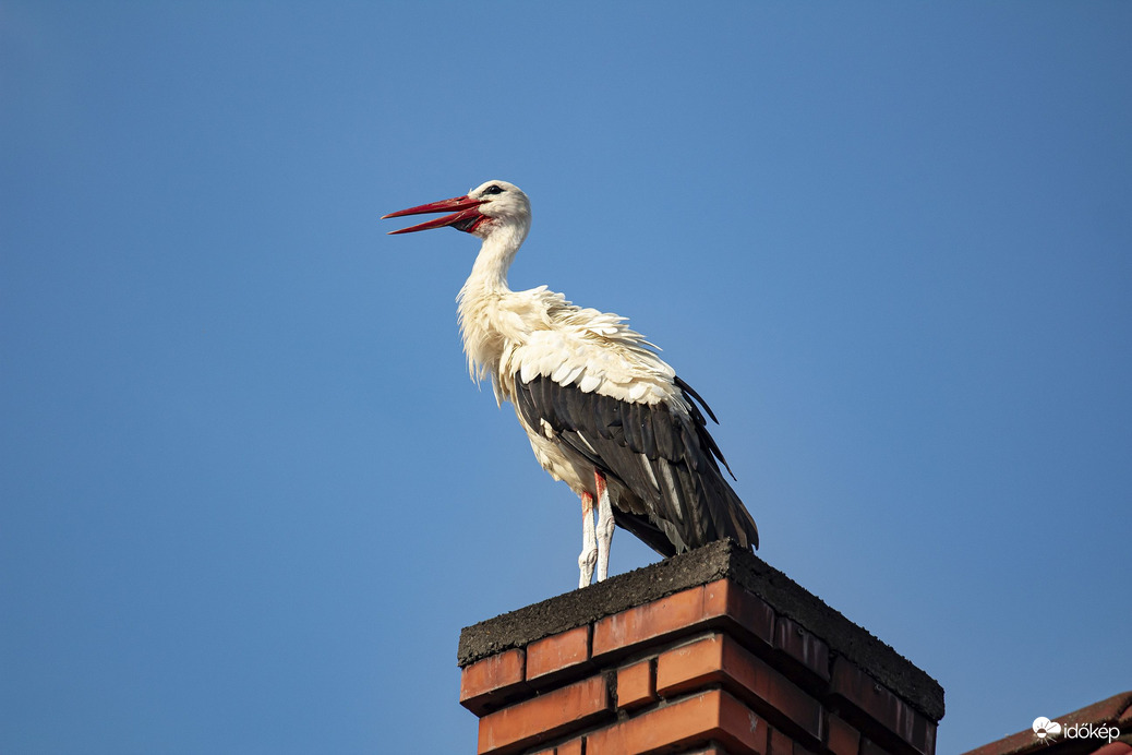 Pihenő a kirepülés közben