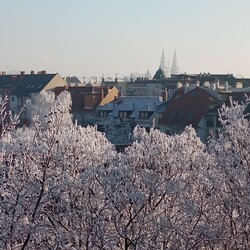 Szeged