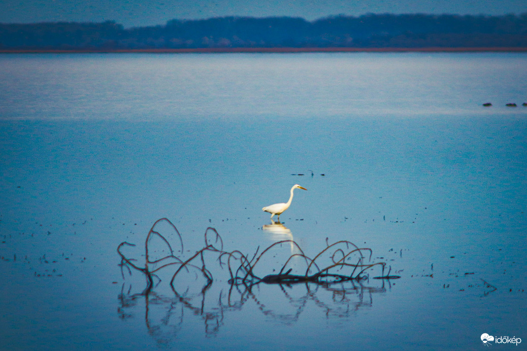 Tisza-tó