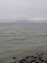 Balatonfenyves