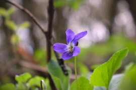 lneannamaria fotója