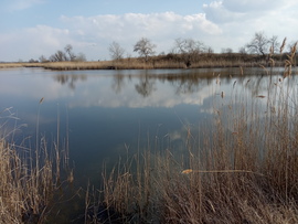 tó a puszta közepén