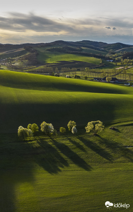 Nagybárkány