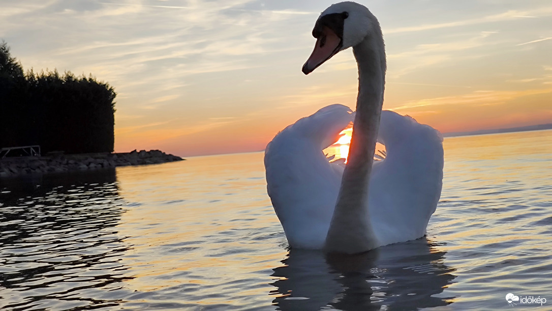 Öleld át a napot