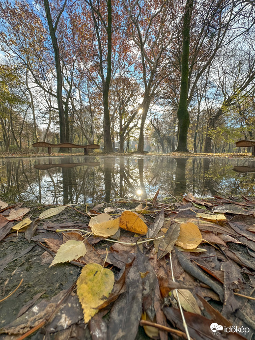 MosolyfakaszTÓ