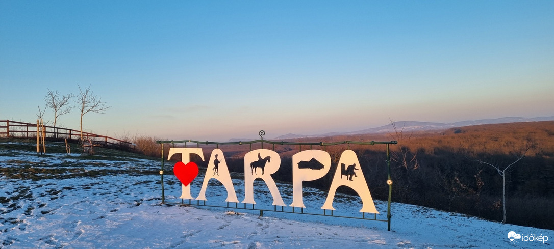 Tarpa