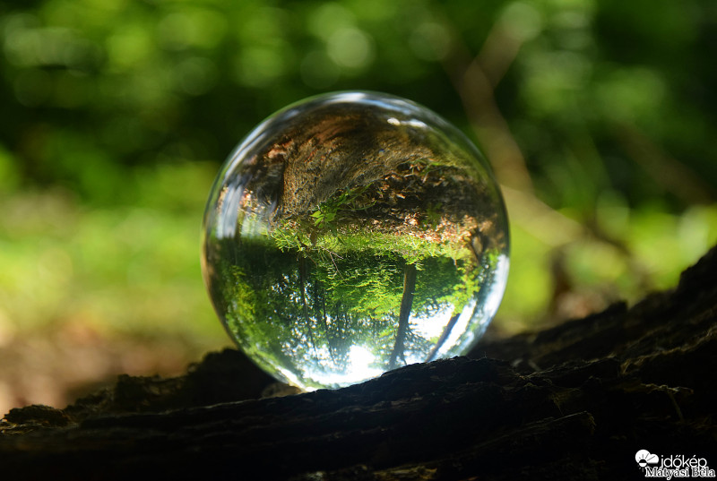 Lensball - Bükkben..