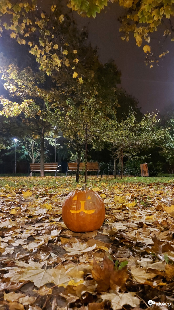 "Sarki fényes" Halloween... 