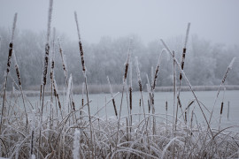 melindaf fotója