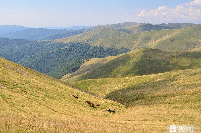 Csendélet a Szvidovecen