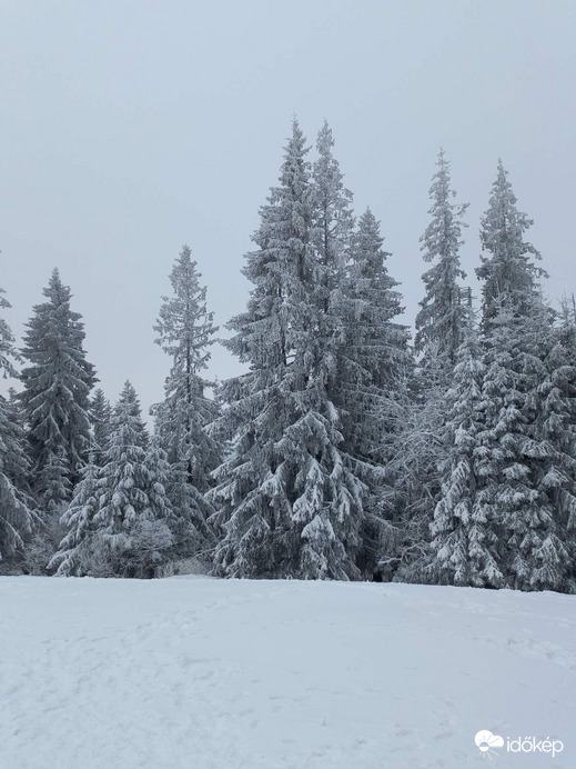 Zakopane 