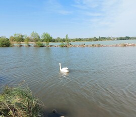 Balatonföldvár