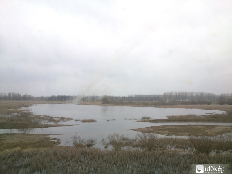 Tisza ártere Rakamaz közelében 2013.04.05.-én