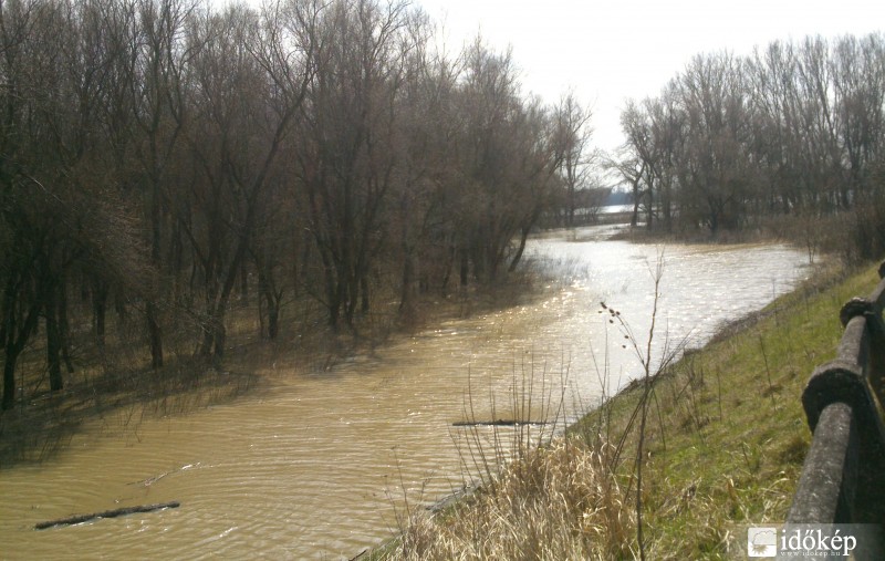 Tisza ártere Tiszanagyfalunál 2013.04.07-én