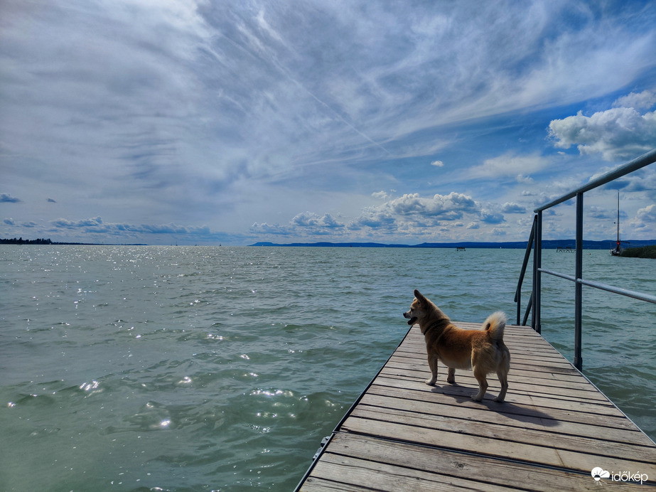 Brigi és a Balaton 