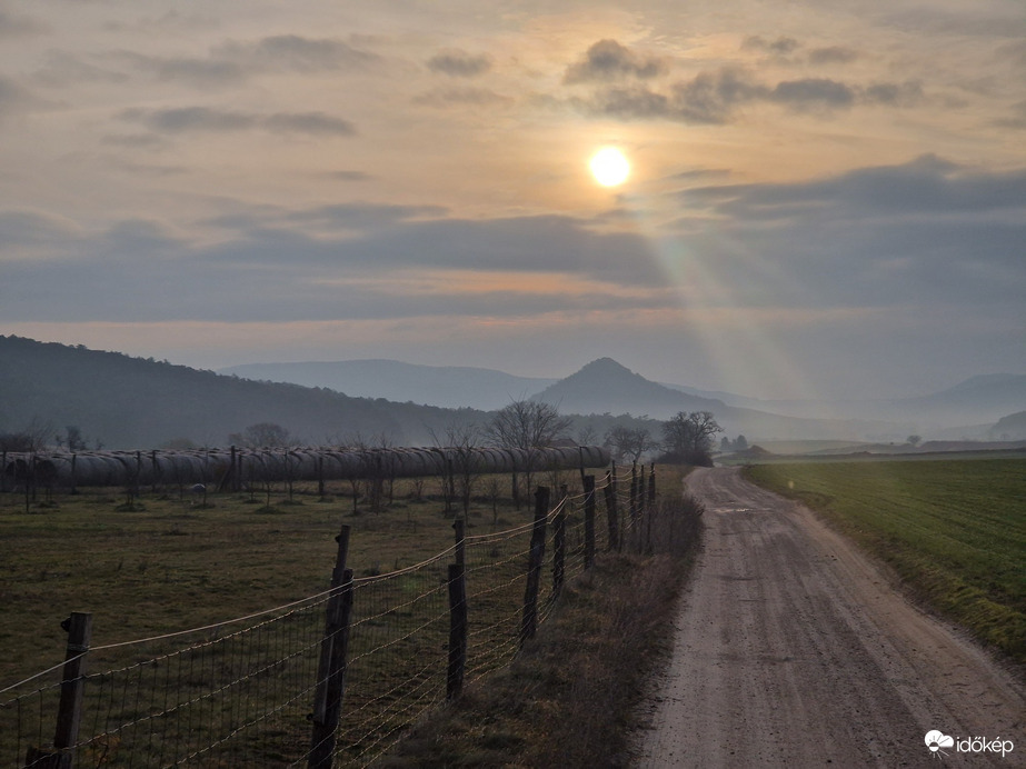 Sáska