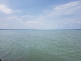 Balatonaliga