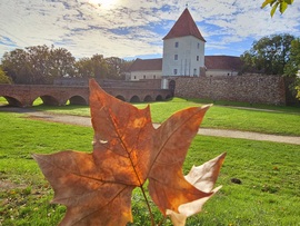 Sárvári ősz