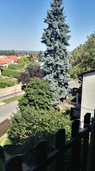 Kaposvár