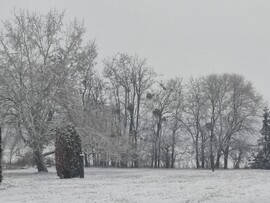 Baktalórántháza