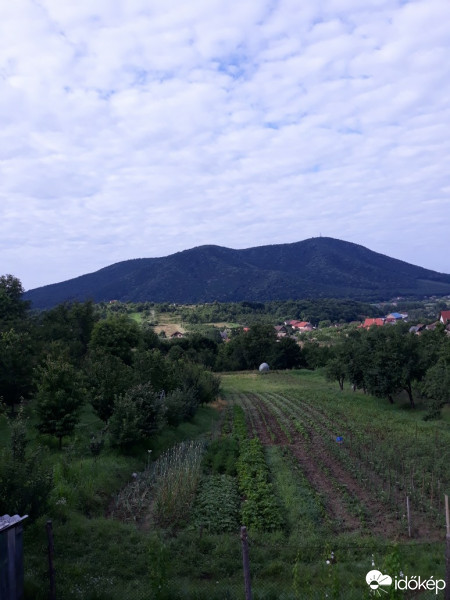 Călinești-Oaș