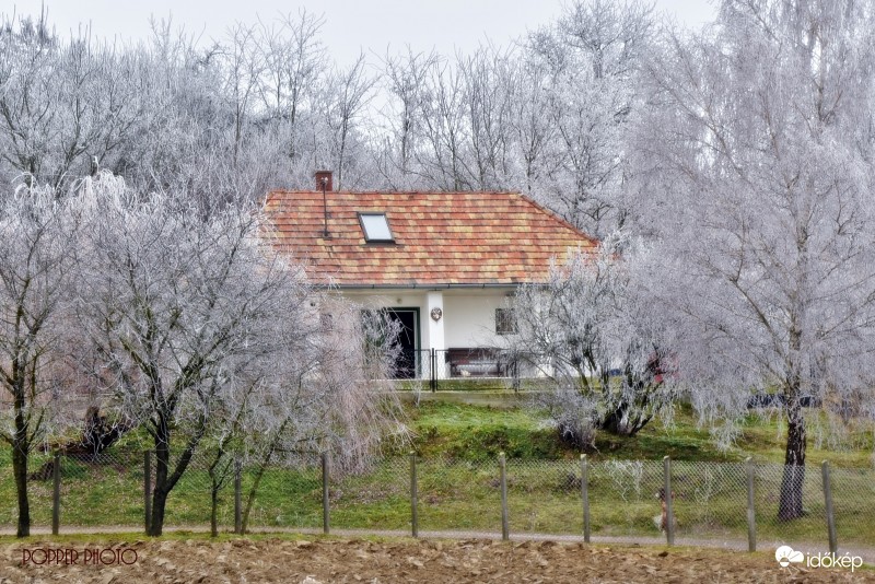 Zúzmara takaró.