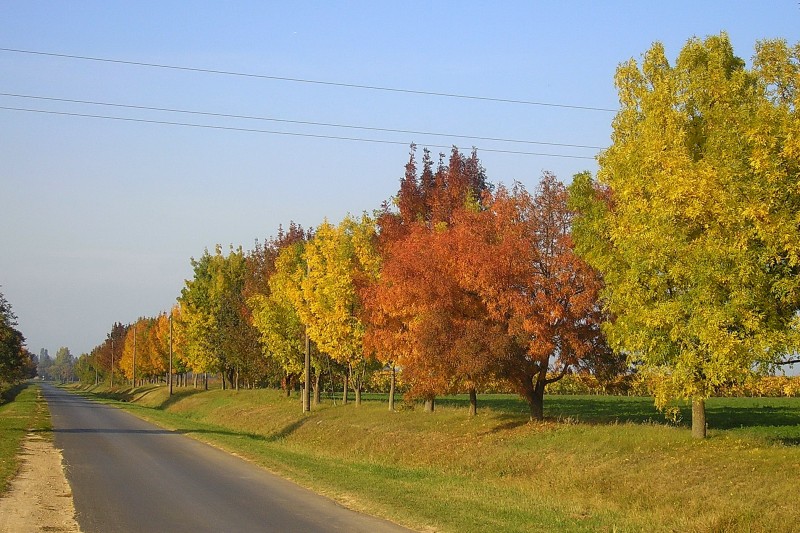 Balatonlelle