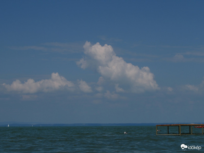 Uszkár kutyus a Balaton felett