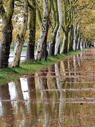 Balatonföldvár