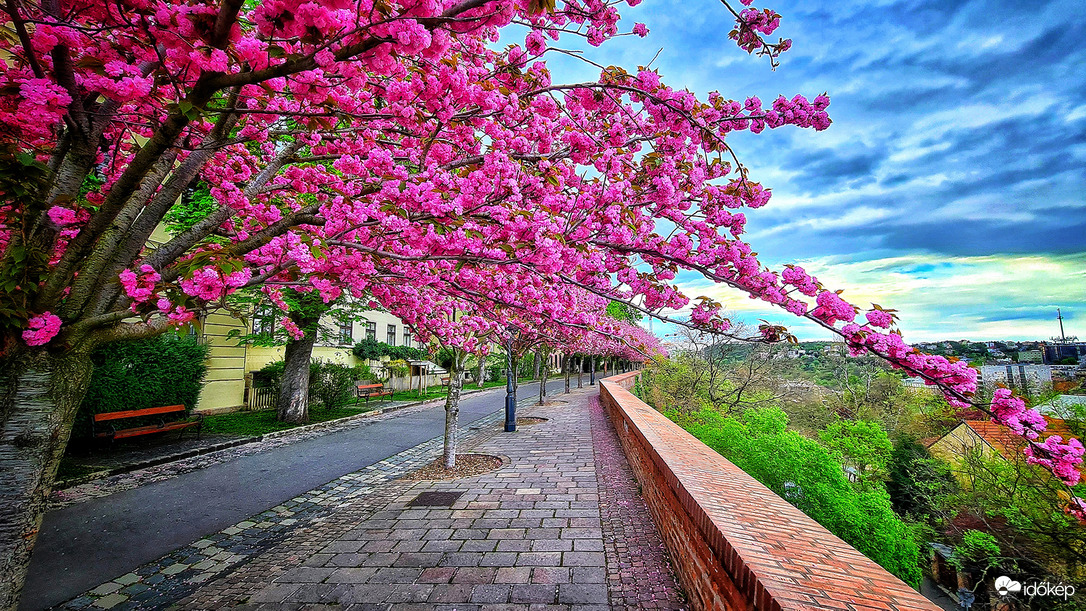 Budapest I.ker - Vár