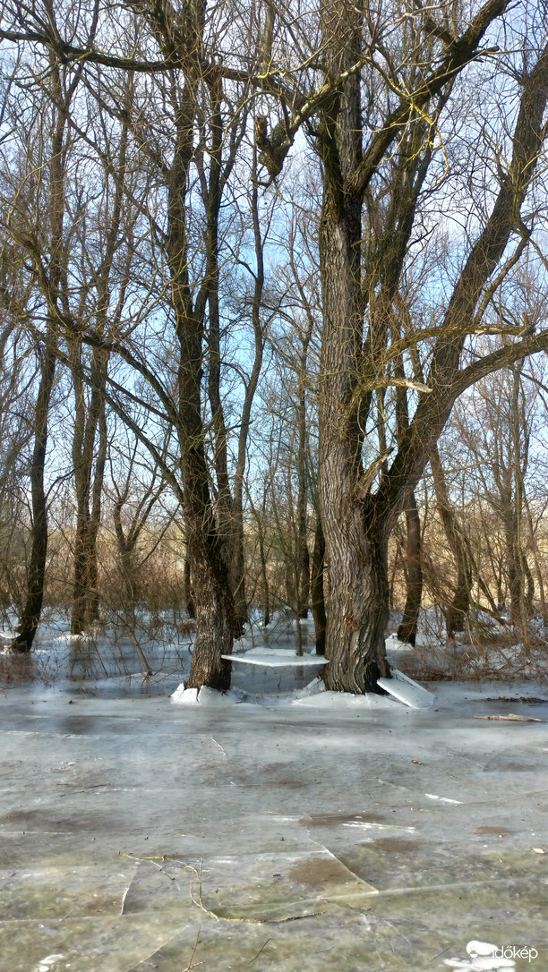 Tisza 2024-01-14