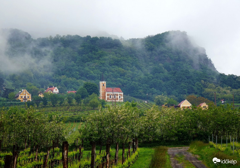 A mai nap reggelén Balatonnak tanúhegyei  úgy döntöttek, hogy nem mutatják meg magukat. Alszanak még ... 2019.05.16.