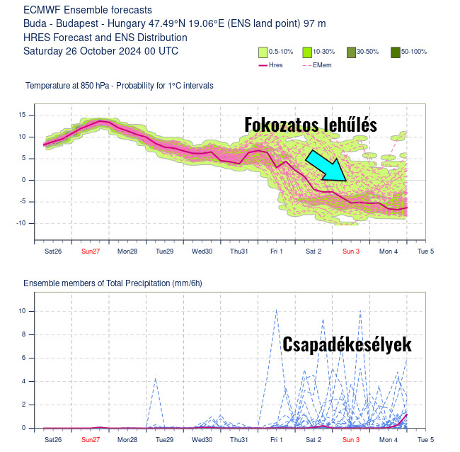 Diagramm: ecmwf.int