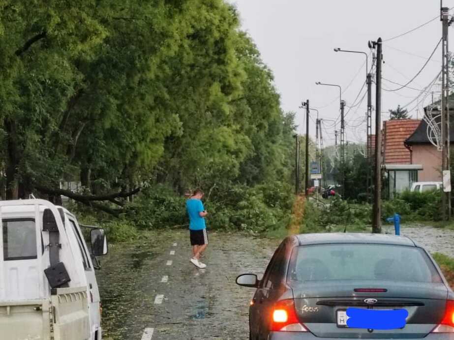 Borsos Zsolt fotója