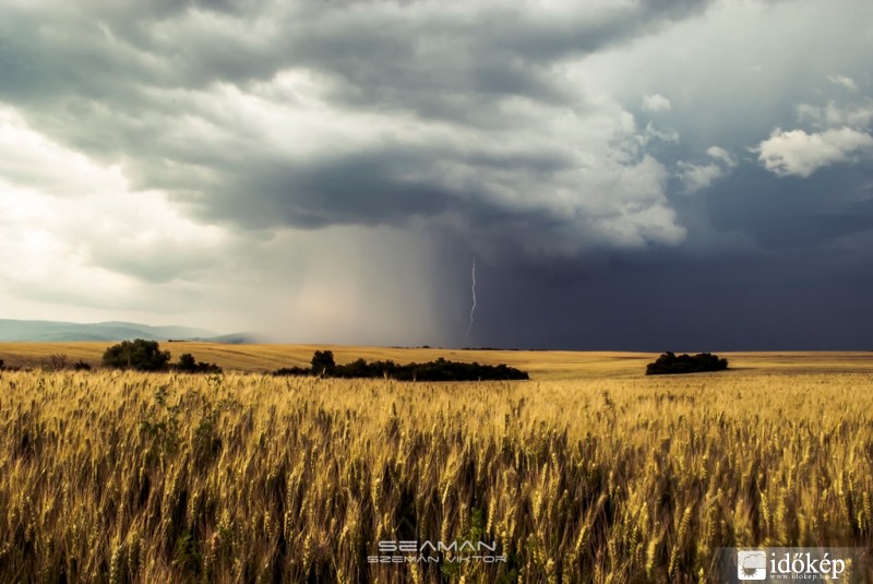 Debrőd 2013.07.05.