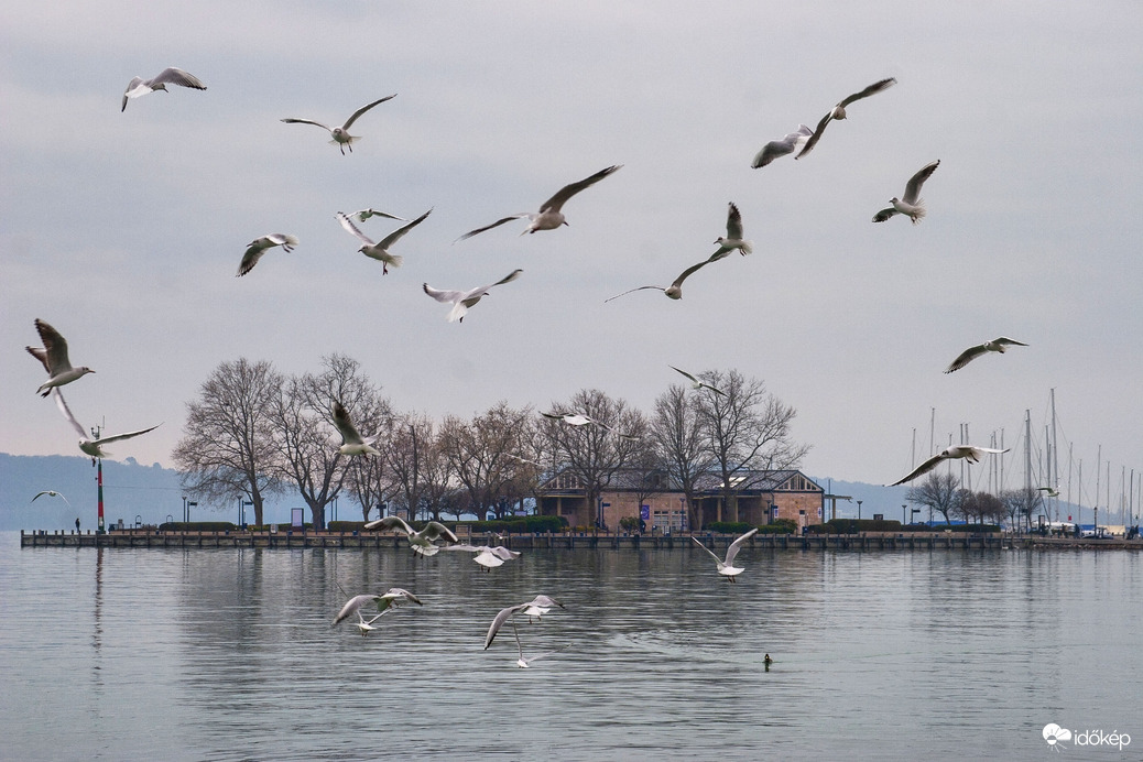 Balatonfüred