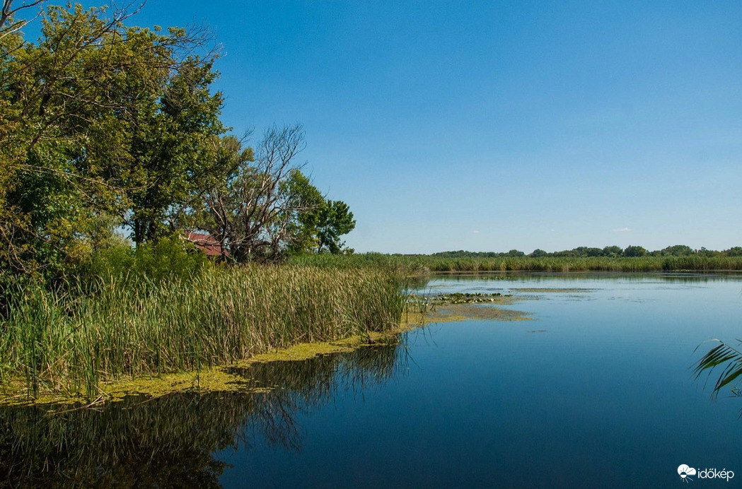 Tisza-tó