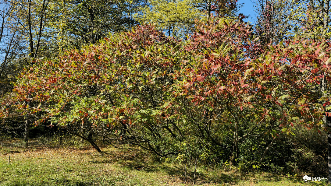 Kecskemét arborétum