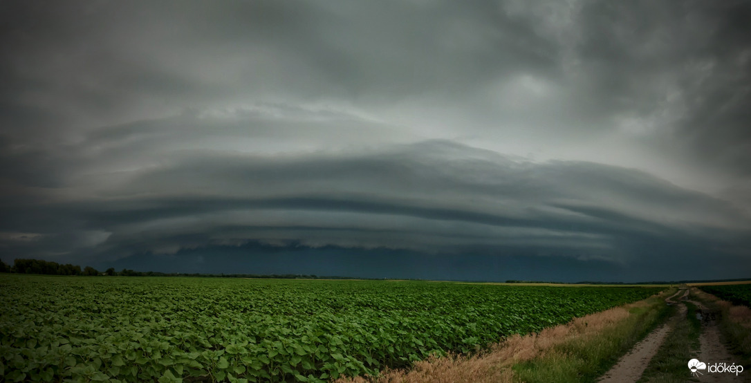 Panoráma a szelíd fenevadról