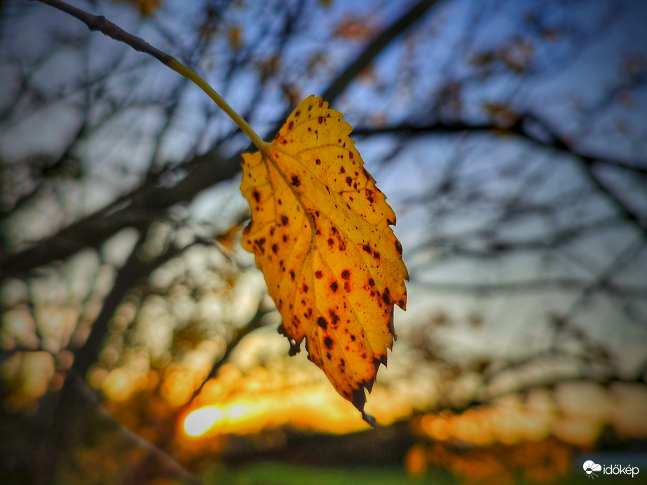 November első naplementéje