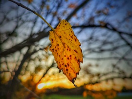 November első naplementéje